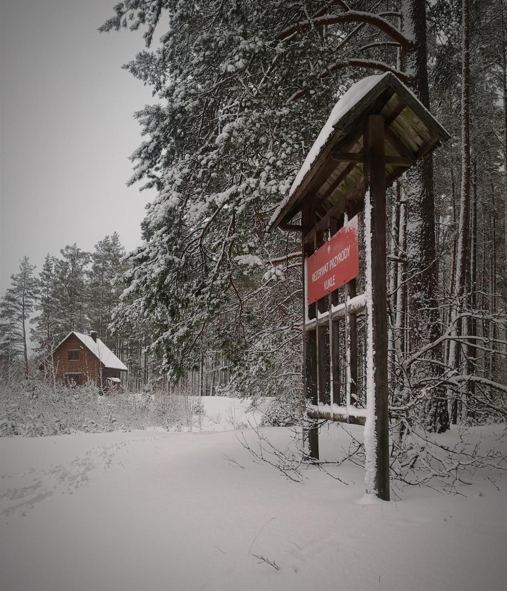 Lesny Kacik Zelwa Vila Exterior foto
